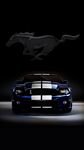 pic for FORD MUSTANG
